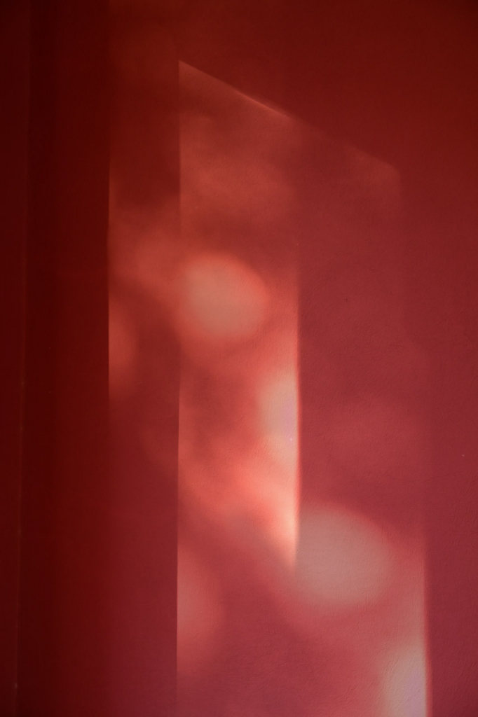 Secret garden, Marrakech - Morning light