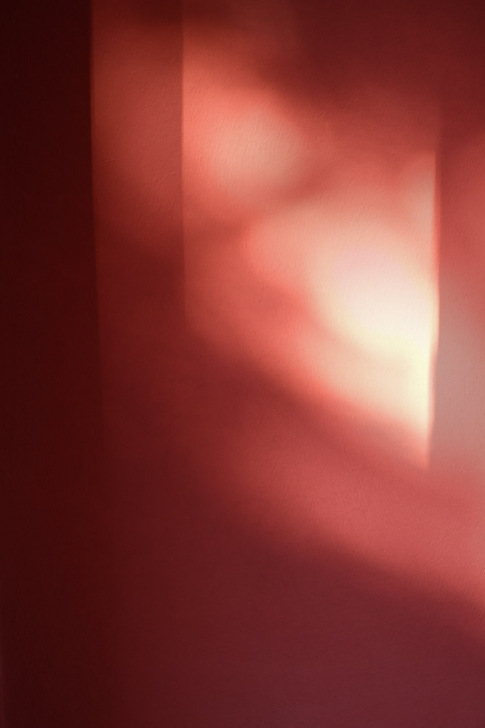 Secret garden, Marrakech - Morning light